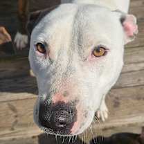 Thumbnail photo of Spot #4