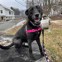 Thumbnail photo of Karla #2