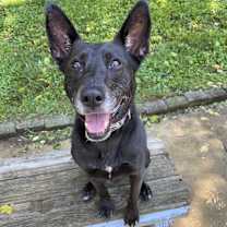 Thumbnail photo of Karla #3