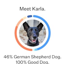 Thumbnail photo of Karla #4