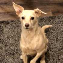 Thumbnail photo of Maggie #2