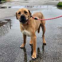 Thumbnail photo of Murphy #1