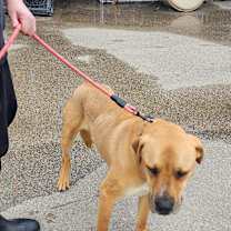 Thumbnail photo of Murphy #3