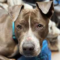 Thumbnail photo of 177631 Winnie #4