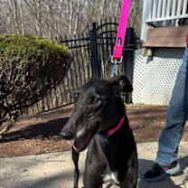 Thumbnail photo of Gemma #3