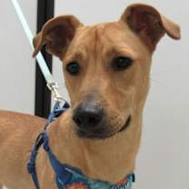 Thumbnail photo of Fred #1