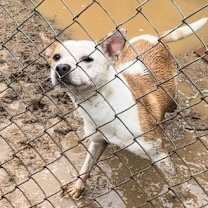 Thumbnail photo of Zuri #4