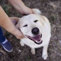 Thumbnail photo of Kanga #2