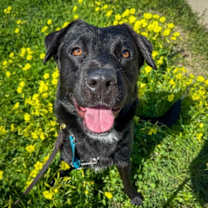 Thumbnail photo of Maeve #2