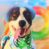 Thumbnail photo of Dante JuM #2