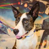 Thumbnail photo of Dante JuM #3