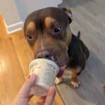 Thumbnail photo of AJ #4