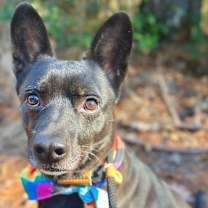 Thumbnail photo of Johnny Cash #2