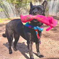 Thumbnail photo of Johnny Cash #3