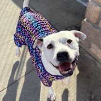 Thumbnail photo of Ruby #1