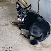 Thumbnail photo of Taki #2