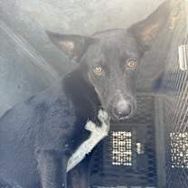 Thumbnail photo of Taki #3