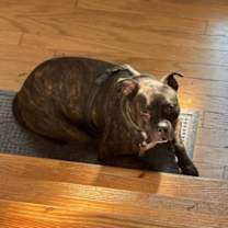 Thumbnail photo of Jax #4