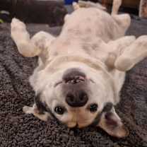 Thumbnail photo of MOCHI #3