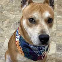 Thumbnail photo of Johnson #4