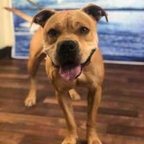 Thumbnail photo of Geneva #3