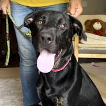 Thumbnail photo of Marco #1