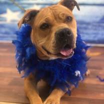 Thumbnail photo of Geneva #4