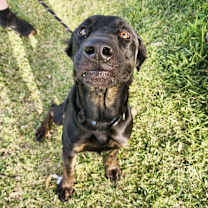 Thumbnail photo of Marco #2