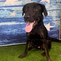 Thumbnail photo of Marco #3