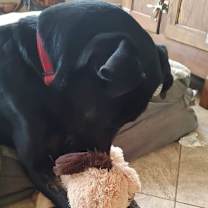 Thumbnail photo of Marco #4