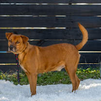 Thumbnail photo of Spike #4