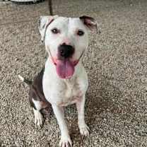 Thumbnail photo of Xena #1