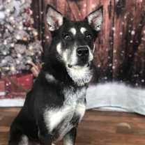 Thumbnail photo of Zoesh #2