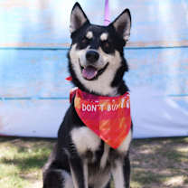 Thumbnail photo of Timothee #1