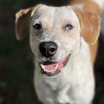 Thumbnail photo of Tanner #1