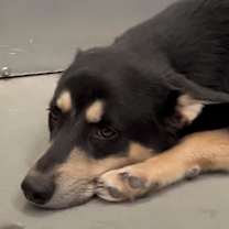 Thumbnail photo of Timothee #2