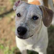 Thumbnail photo of Tanner #2