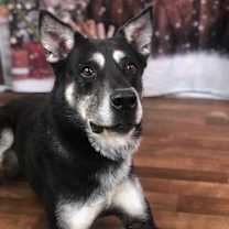 Thumbnail photo of Zoesh #3