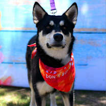 Thumbnail photo of Timothee #3