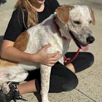 Thumbnail photo of Tanner #3