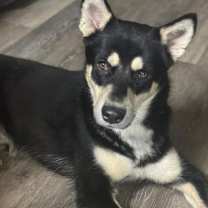 Thumbnail photo of Timothee #4