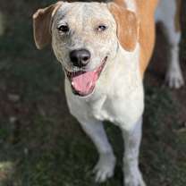 Thumbnail photo of Tanner #4