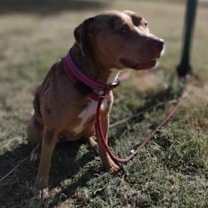 Thumbnail photo of Reya #3