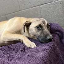 Thumbnail photo of Harold #2