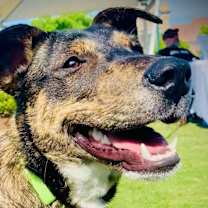 Thumbnail photo of Mahjong #3