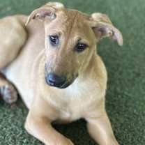 Thumbnail photo of Amy #1