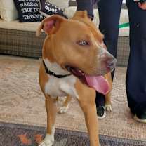 Thumbnail photo of Chief JuM #2