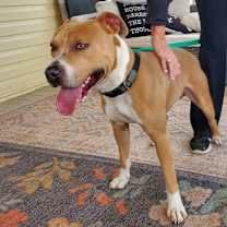 Thumbnail photo of Chief JuM #3