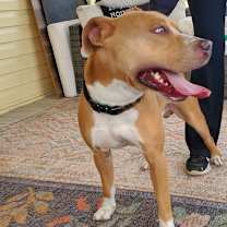 Thumbnail photo of Chief JuM #4