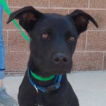 Thumbnail photo of Stuart JuM* #2